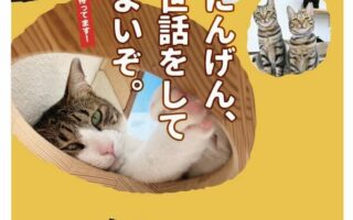 猫たちは皆様をお待ちしています